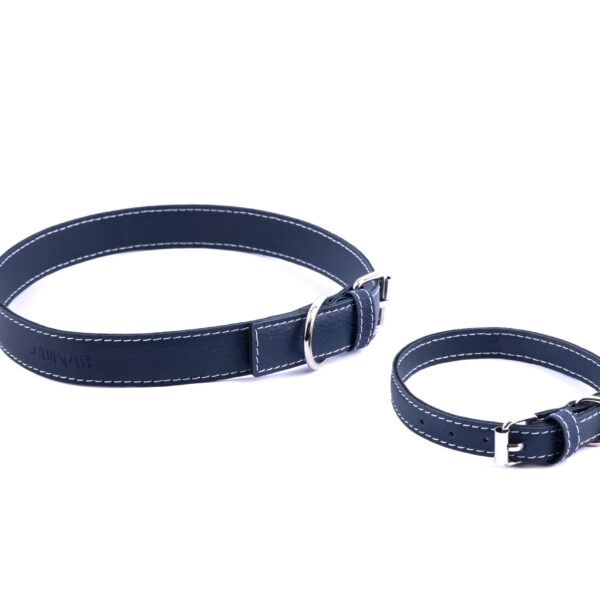 Accessori Cani e Gatti