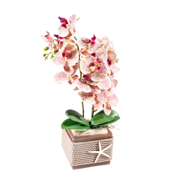 Composizione Orchidee artificiali x MA1116